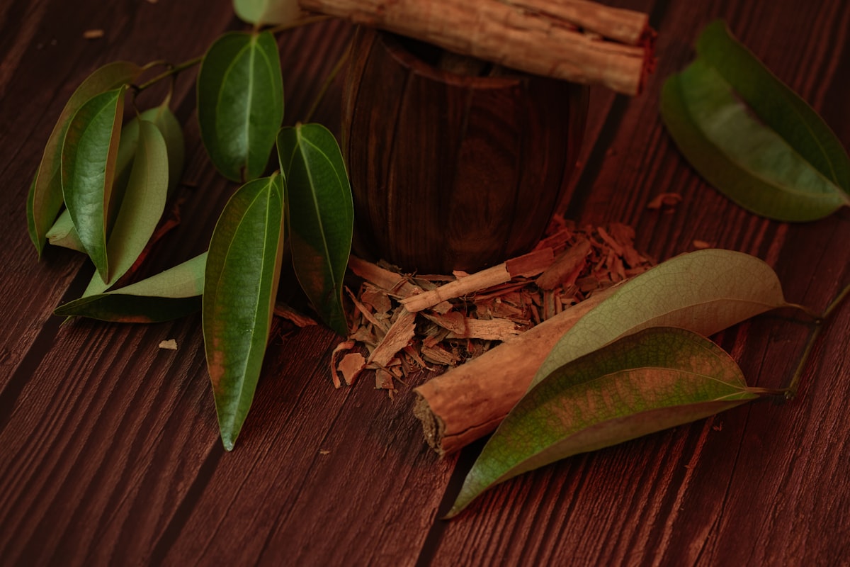 Traditional wellness rituals and spa practices from various cultures